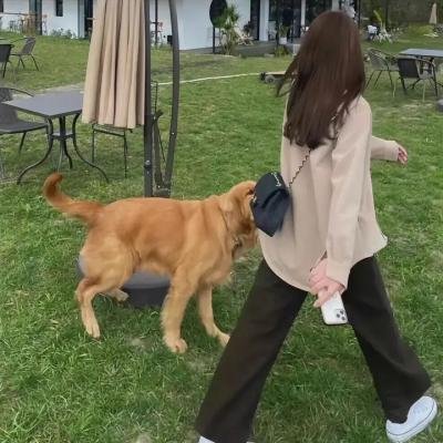 牠不重，牠是我宝贝3